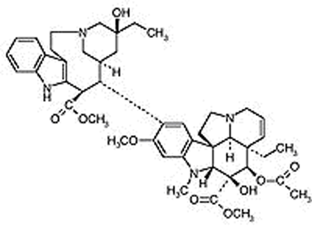 La vinblastina appartiene agli alcaloidi della vinca, ed è un prodotto naturale della pervinca (Vinca minor).   STRUTTURA CHIMICA E PROPRIETÀ FARMACOCINETICHE  La vinblastina è un analogo chimico della vincristina. E' composta da un anello di vindolina connesso ad un anello di catarantina per mezzo di legami carbonio-carbonio. All’anello di vindolina è attaccato un gruppo metilico.  La farmacocinetica della vinblastina corrisponde ad un modello a 3 compartimenti: ampia distribuzione in compartimenti extravasali, elevato tasso di clearance, lunga emivita terminale (con conseguente eliminazione prolungata).  Dopo somministrazione endovenosa, la vinblastina si lega rapidamente a proteine plasmatiche, eritrociti, globuli bianchi e piastrine. La vinblastina non supera la barriera emato-encefalica.  La vinblastina subisce il metabolismo epatico ad opera di citocromo p450; il metabolismo è prevalentemente biliare (7 giorni), mentre una piccola quota è eliminata con le urine per 7 giorni. Nel siero la vinblastina non è più dosabile dopo 7 giorni.   MECCANISMO D’AZIONE  La vinblastina è un agente fase-specifico, andando ad agire durante la fase M (mitosi) del ciclo cellulare. È anche definito agente antimicrotubulare. Il meccanismo d’azione della vinblastina è identico a quello della vincristina.   MECCANISMO DI RESISTENZA  La resistenza alla vinblastina è da ricondurre all’espressione di glicoproteina P-170, con conseguente espulsione di chemioterapico dalla cellula neoplastica, e alla modificazione del bersaglio, rappresentato dalla tubulina.   INDICAZIONI CLINICHE E DOSAGGIO  La principale indicazione della vinblastina è il trattamento del mastocitoma. Altri tumori eventualmente responsivi sono linfoma e leucemie.  Nel cane, la vinblastina è somministrata al dosaggio di 2-2,5 mg/m2 in bolo endovenoso rapido ogni 1-3 settimane. In monochemioterapia può essere somministrata alla dose di 3,5 mg/m2 EV ogni 14 giorni. Nel gatto, la vinblastina è somministrata alla dose di 2 mg/m2 in bolo endovenoso rapido ogni 1-3 settimane.   TOSSICITA'  Effetti indesiderati della vinblastina si ripercuotono su diversi organi e apparati:      midollo osseo: mielosoppressione (neutropenia) non cumulativa.     apparato gastroenterico: generalmente lieve e auto-limitante. La tossicità è più marcata in soggetti con pregresse patologie gastroenteriche.     cute: la vinblastina è vasosclerotica. In caso di stravaso accidentale, si mettono in atto procedure identiche allo stravaso di vincristina.    Bibliografia      Bailey DB, Rassnick KM, Kristal O et al: Phase I dose escalation of single-agent vinblastine in dogs. J Vet Intern Med. 2008; 22: 1397-402.     Chun R, Garrett LD, Vail DM: Cancer chemotherapy. In: Withrow & MacEwen’s Small Animal Clinical Oncology, Withrow SJ and Vail DM (eds), Saunders Elevier, 2007: 163-192.     Golden DL, Langston VC. Uses of vincristine and vinblastine in dogs and cats.  J Am Vet Med Assoc. 1988; 193: 1114-7.     Knobloch A, Mohring SA, Eberle N, et al: Drug residues in serum of dogs receiving anticancer chemotherapy. J Vet Intern Med. 2010; 24: 379-83.     Knobloch A, Mohring SA, Eberle N, et al: Cytotoxic drug residues in urine of dogs receiving anticancer chemotherapy. J Vet Intern Med. 2010; 24: 384-90.     Marconato L: Agenti alchilanti. In: Principi di chemioterapia in oncologia, Marconato (ed), Poletto Editore, 2009: 79-92.     Rassnick KM, Bailey DB, Flory AB et al: Efficacy of vinblastine for treatment of canine mast cell tumors. J Vet Intern Med. 2008; 22: 1390-6.     Vickery KR, Wilson H, Vail DM, Thamm DH: Dose-escalating vinblastine for the treatment of canine mast cell tumour. Vet Comp Oncol. 2008; 6: 111-9. 