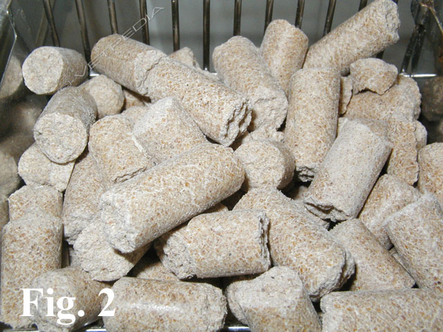 Alimentazione del ratto domestico