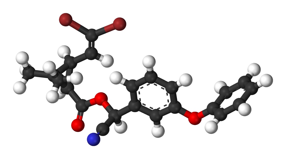 Avvelenamento da piretrine-piretroidi