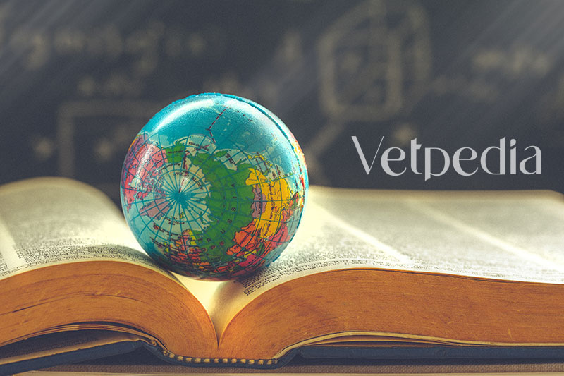 Vetpedia filosofia